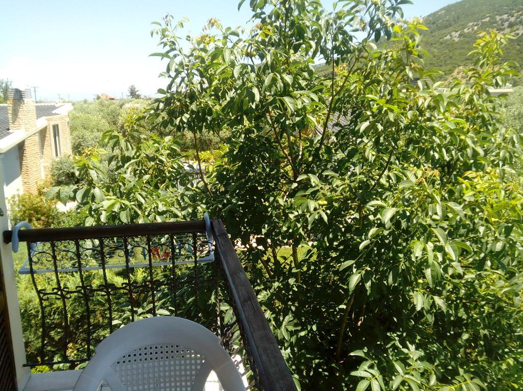 Villa Thomi Skala Rachoni  Zewnętrze zdjęcie