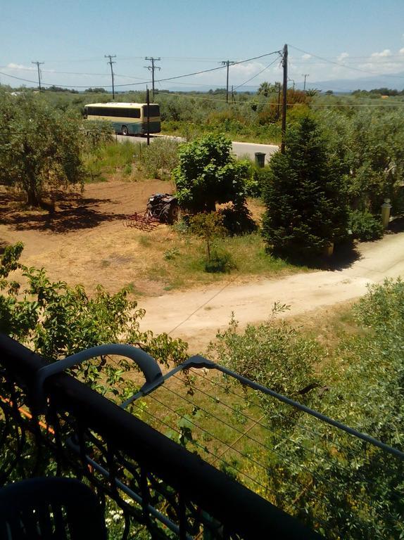 Villa Thomi Skala Rachoni  Zewnętrze zdjęcie