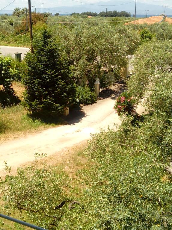 Villa Thomi Skala Rachoni  Zewnętrze zdjęcie