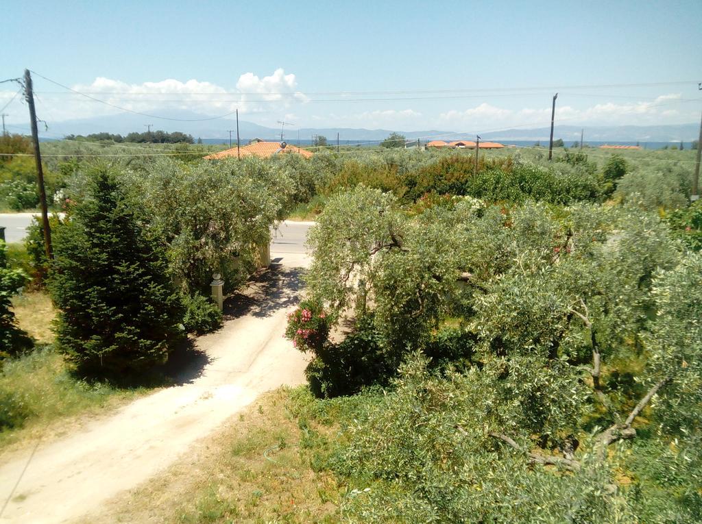 Villa Thomi Skala Rachoni  Zewnętrze zdjęcie